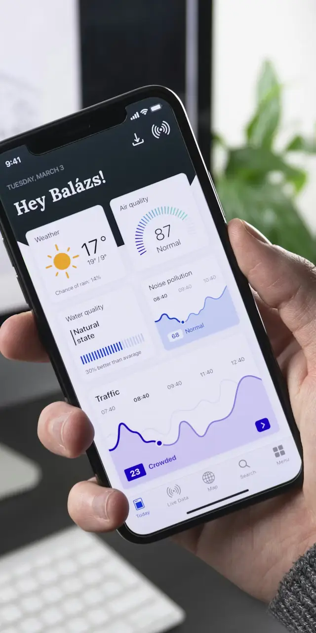 App Interface